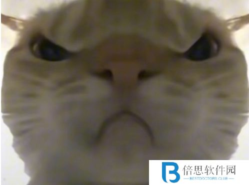 网络用语鼠鼠猛攻是什么梗