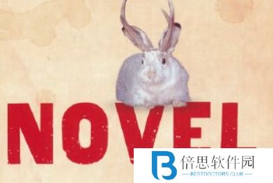 网络用语Novel是什么梗